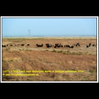 16971 17002 Fahrt nach Shahrisabs Markt in Sazagan Usbekistan 2010.JPG